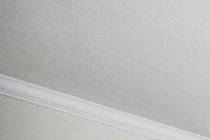 Gallery Photo 31